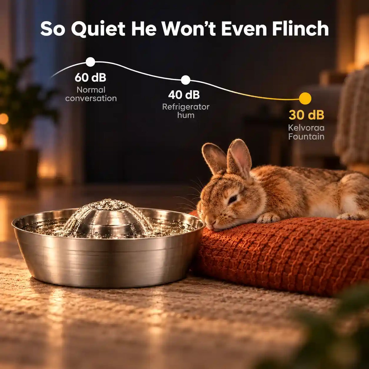 Water Fountain for Rabbits – Kelvoraa